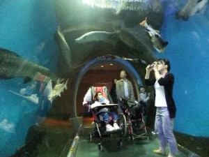 Ｂ小　修学旅行２日目　須磨水